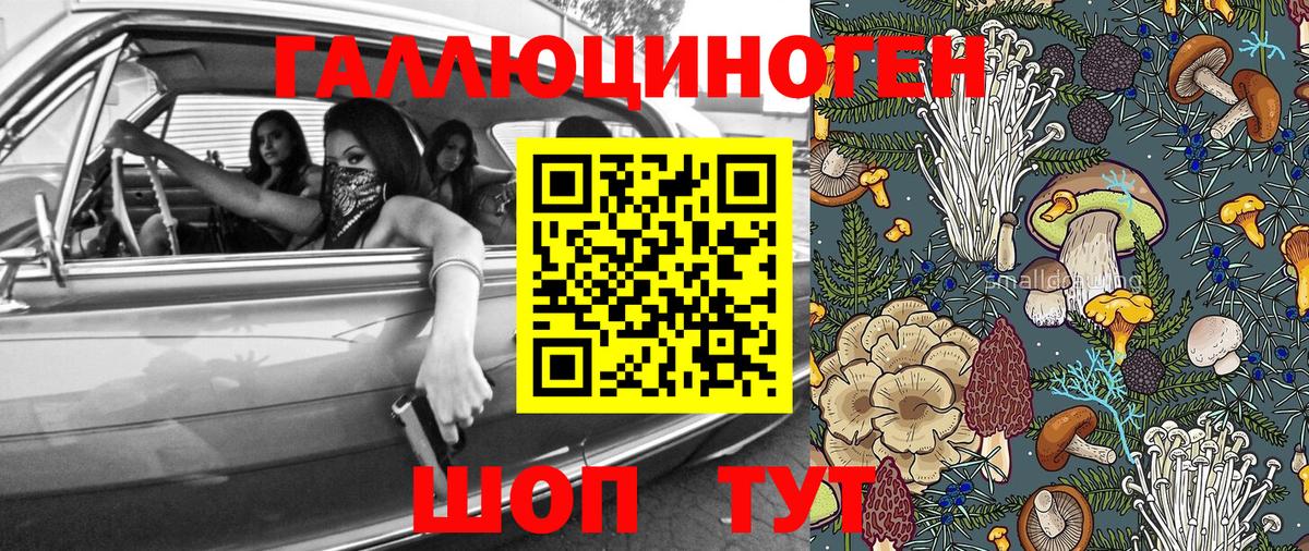 где можно купить   Галлюциногенные грибы Cubensis  Вход с VPN  Псилоцибиновые грибы прущие грибы  Углич 